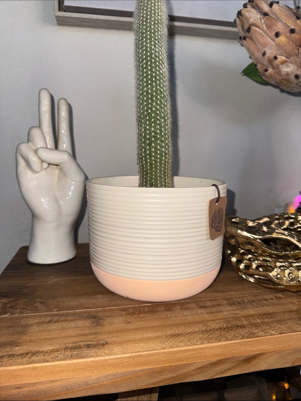 Ribbed Two-Tone Ceramic Planter in Cream and Bright Peach